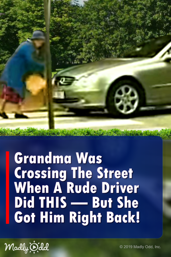 Grandma Was Crossing the Road when A Rude Driver Did This – But She Got Even!