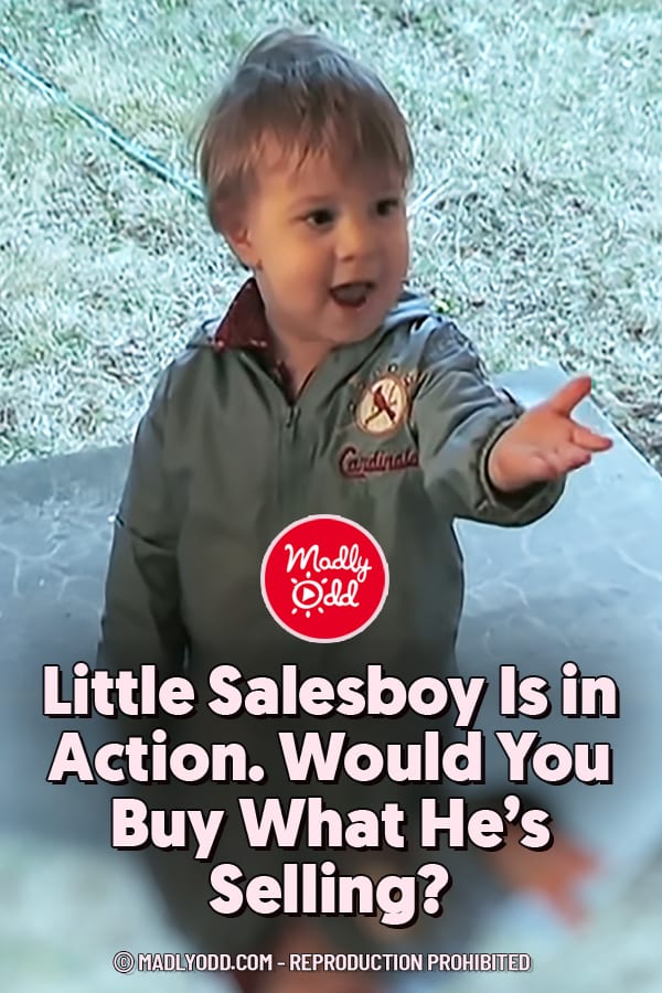 Little Salesboy Is in Action. Would You Buy What He\'s Selling?