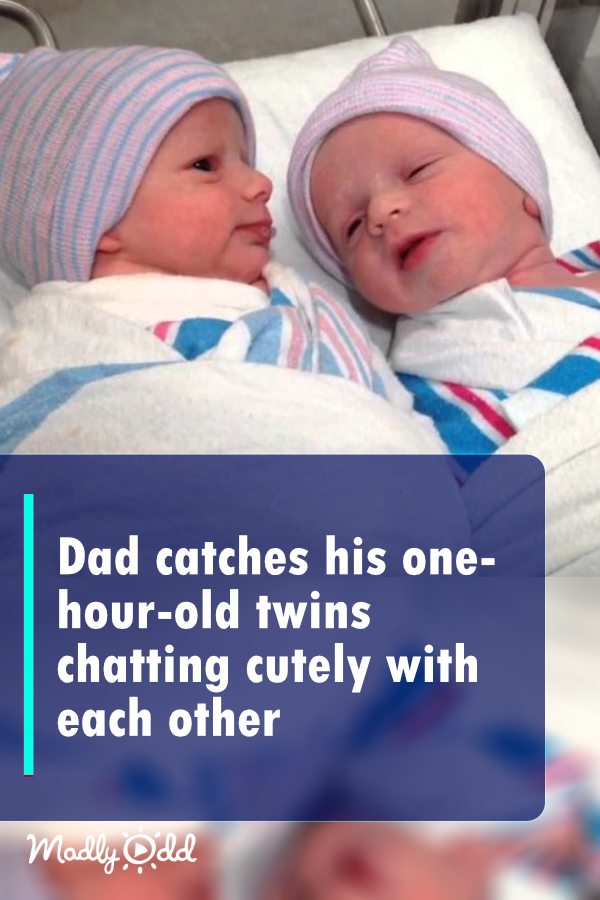 Dad catches his one-hour-old twins chatting cutely with each other