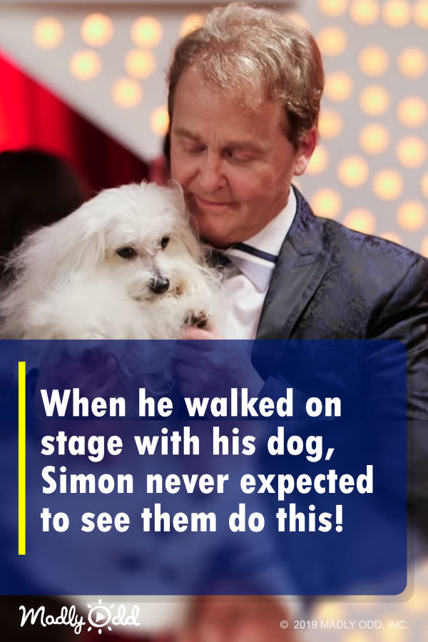 When he walked on stage with his dog, Simon never expected to see them do this!