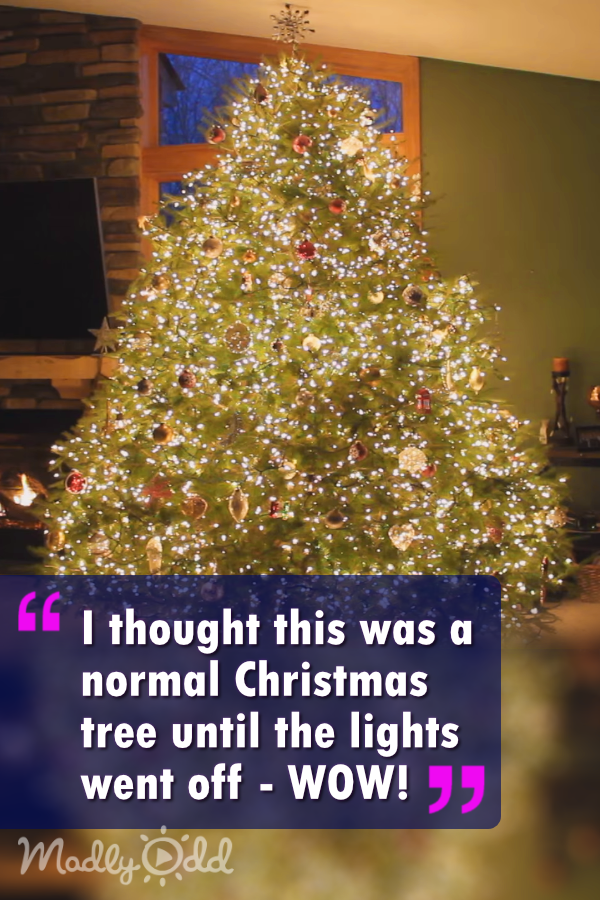 I Thought This Was a Normal Christmas Tree — Until the Lights Went Off, WOW!