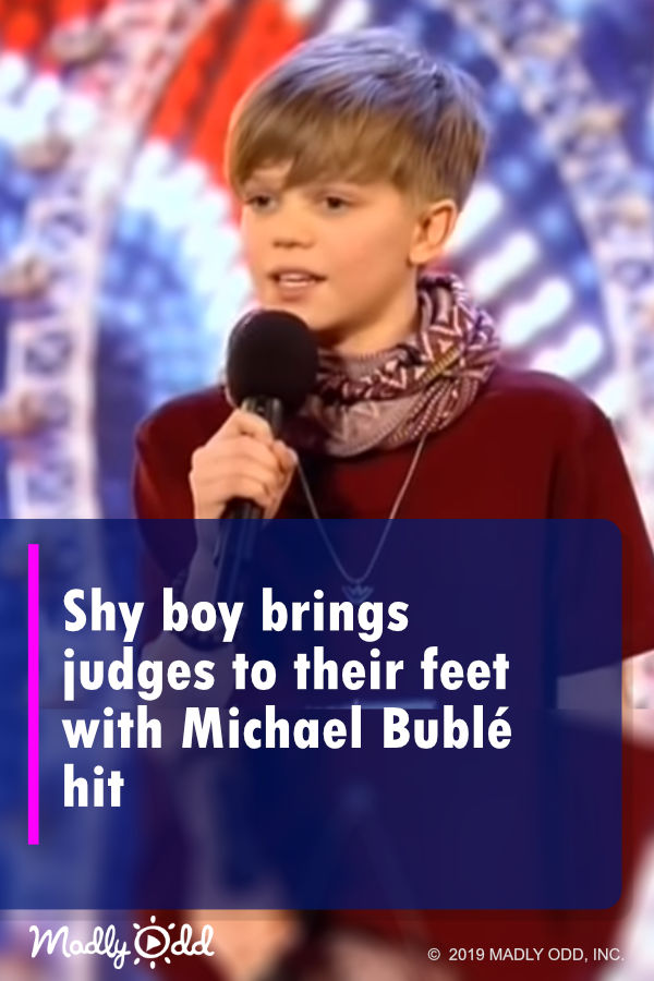Shy boy brings judges to their feet with Michael Bublé hit