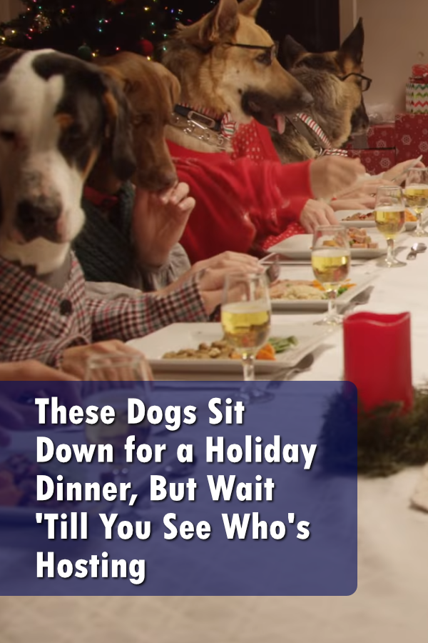 13 Dogs Sit Down for a Holiday Dinner, But Wait Until You See Who\'s Hosting