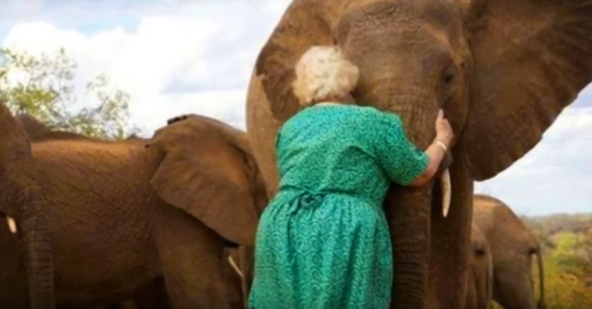 Woman Rescues Elephants