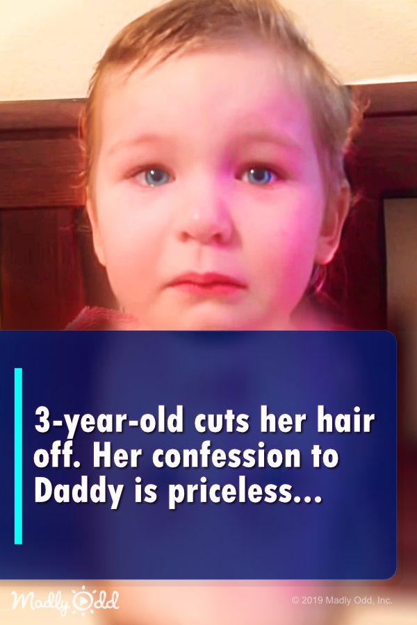 3-year-old cuts her hair off. Her confession to Daddy is priceless