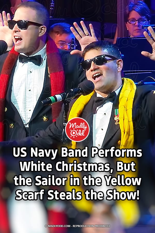 US Navy Band Performs White Christmas, But the Sailor in the Yellow Scarf Steals the Show!