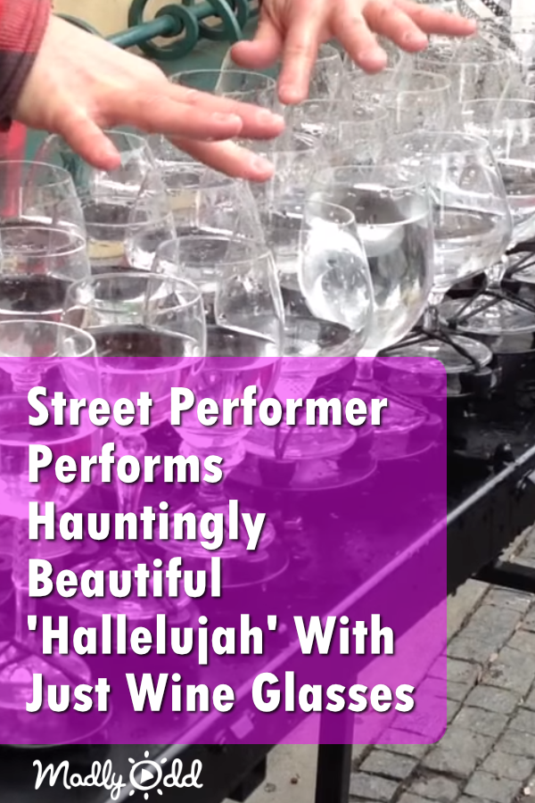 Street Performer Plays Soul-Stirring \'Hallelujah\' With Just Crystal Glasses