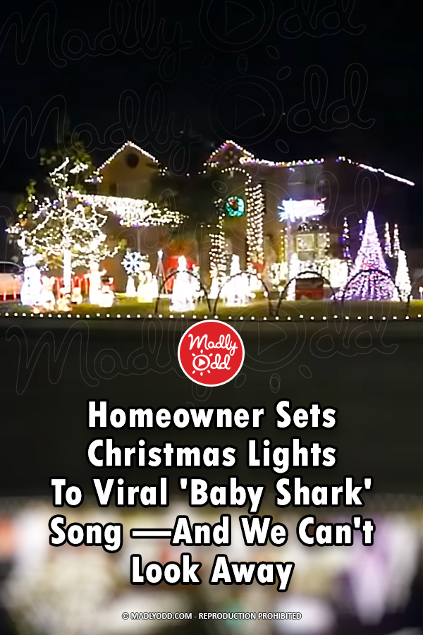 Homeowner Sets Christmas Lights To Viral \'Baby Shark\' Song —And We Can\'t Look Away