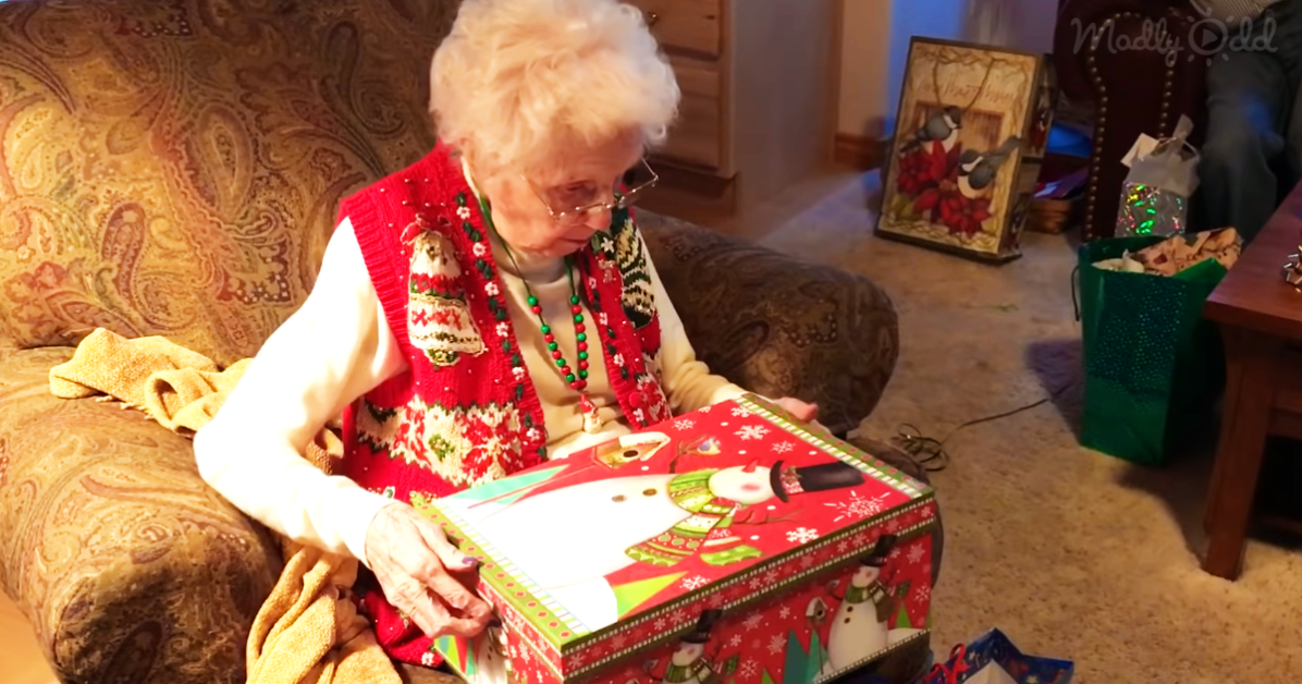 Grandma Gets A Cat for Christmas