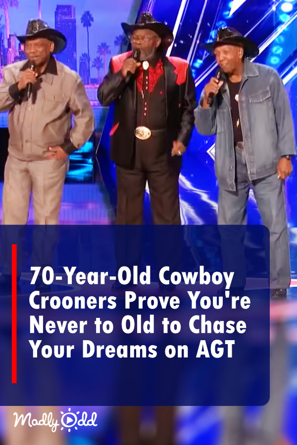 70-Year-Old Cowboy Crooners Bring The House Down With 1968 One-Hit-Wonder