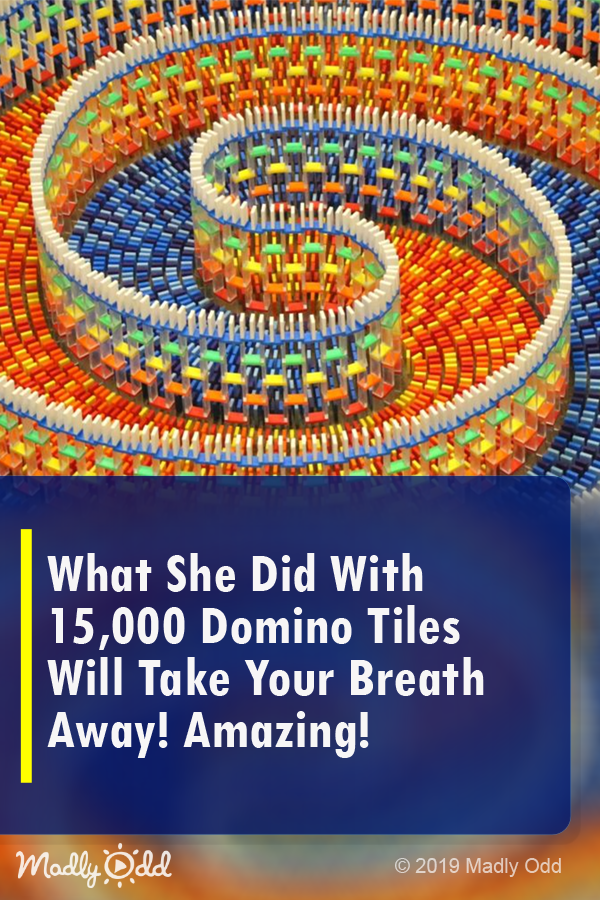What She Did with 15,000 Domino Tiles Will Take Your Breath Away! Amazing!