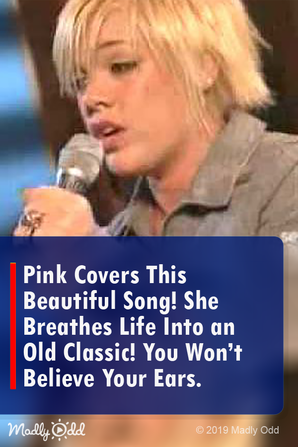 Pink Covers This Beautiful Song! She Breathes Life into an Old Classic! You Won’t Believe Your Ears.
