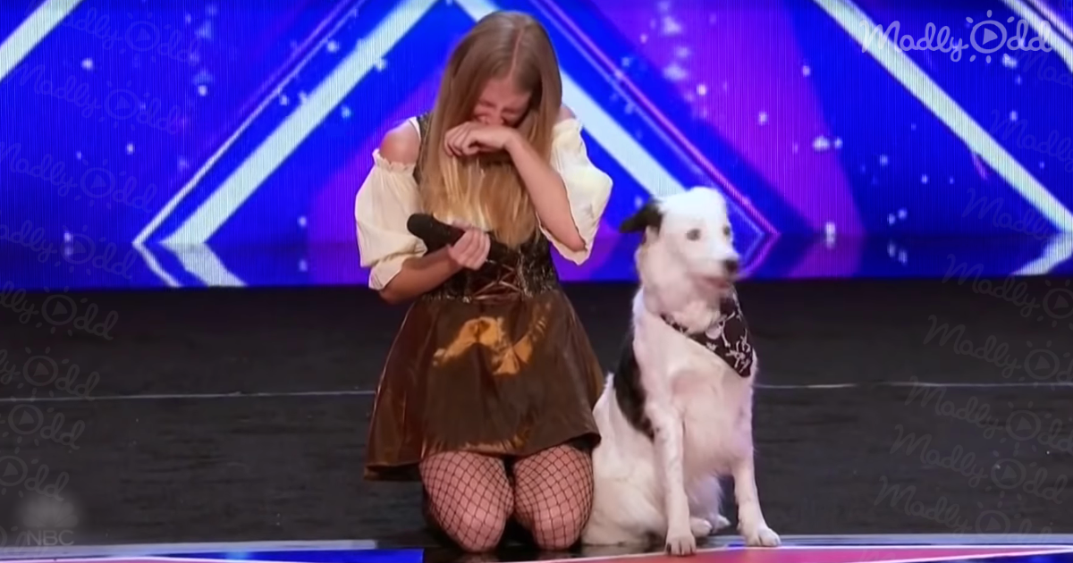 Simon Shows Heart, Saves Dog and Trainer on America’s Got Talent