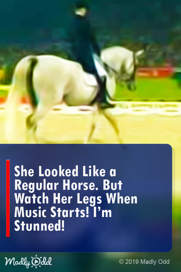 She Looked Like a Regular Horse. But Watch Her Legs When The Music Starts! I\'m Stunned!
