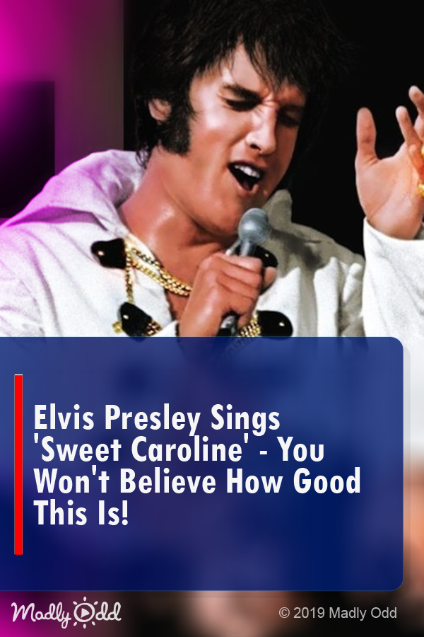 Elvis Presley Sings \'Sweet Caroline\' - You Won’t Believe how Good This Is!
