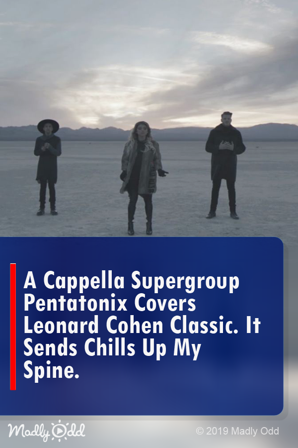 A Cappella Supergroup Pentatonix Covers Leonard Cohen Classic. It Sends Chills Up My Spine