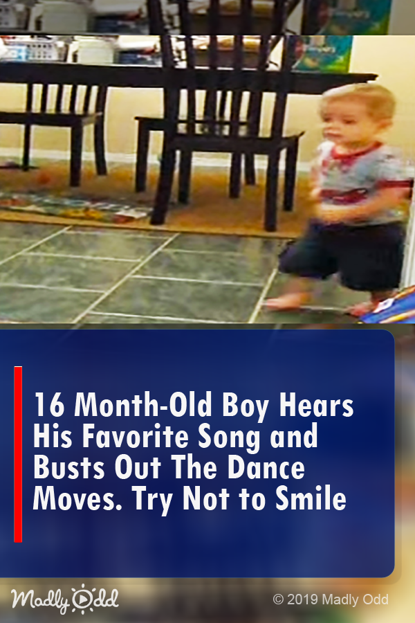 16-Month-Old Boy Hears His Favorite Song and Busts Out HIs Dance Moves. Try Not To Smile!