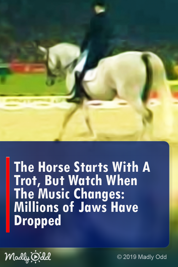 The Horse Starts Trotting, But Watch When The Music Changes: Millions of Jaws Have Dropped