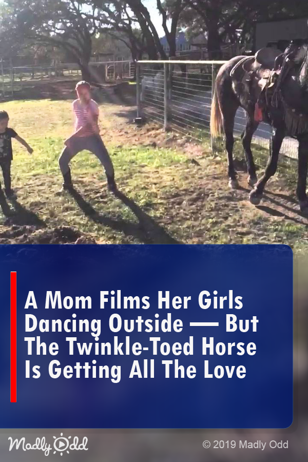 Mom Films a Group of Little Girls Dancing Outside — But The Twinkle-Toed Horse Is Getting All The Love