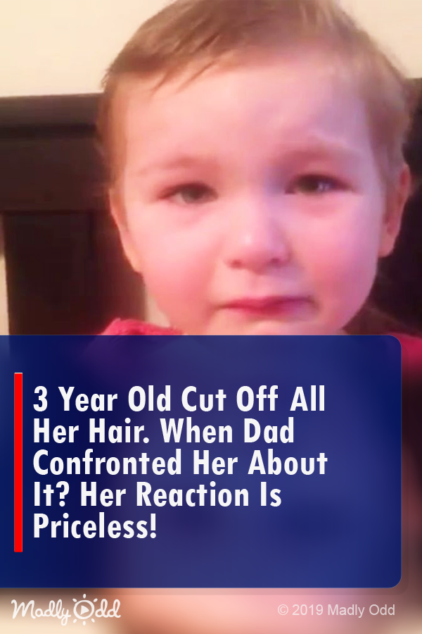 3 Year Old Cuts Off All Her Hair. When Dad Confronted Her About It? Her Reaction Is Priceless!