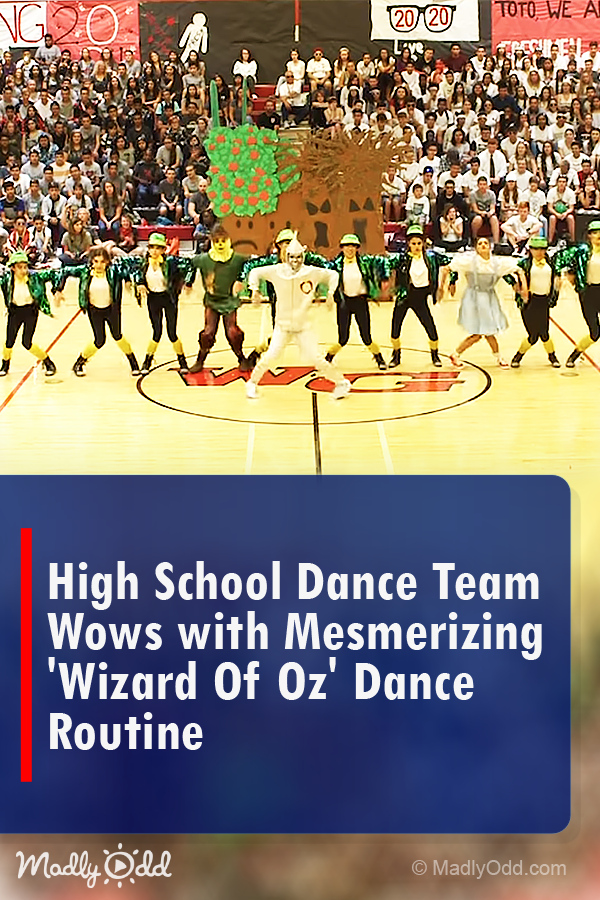 High School Dance Team Presents \'wizard of Oz\' Musical and It\'s Praised As Greatest Homecoming Ever