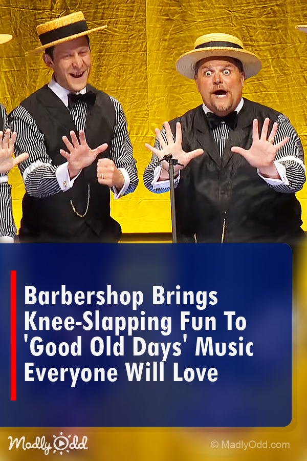 Barbershop Brings Knee-Slapping Fun to \'good Old Days\' Music Everyone Will Love