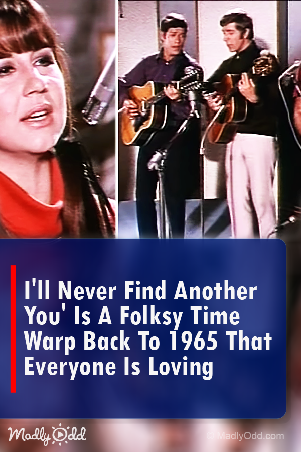 \'I\'ll Never Find Another You\' is a Folksy Time Warp Back to 1965 That Everyone Is Loving