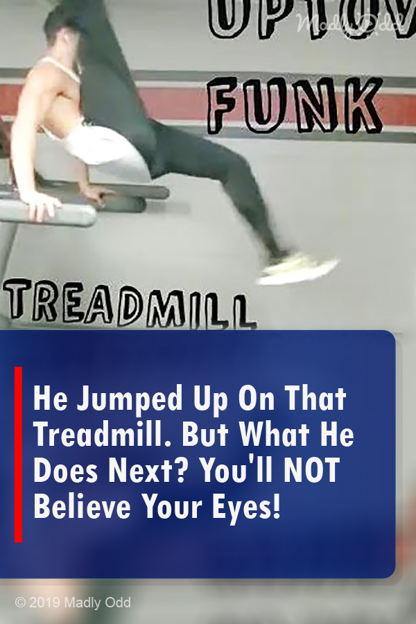 He Jumped Up On That Treadmill. But What He Does Next? You\'ll NOT Believe Your Eyes!
