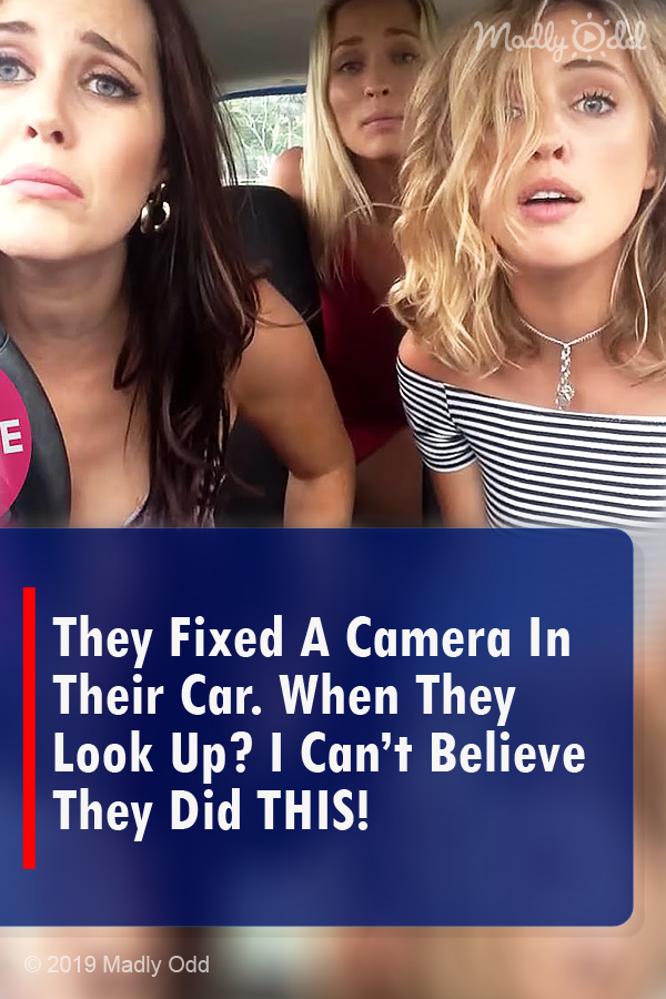 They Fixed A Camera In Their Car. When They Look Up? I Can’t Believe They Did THIS!