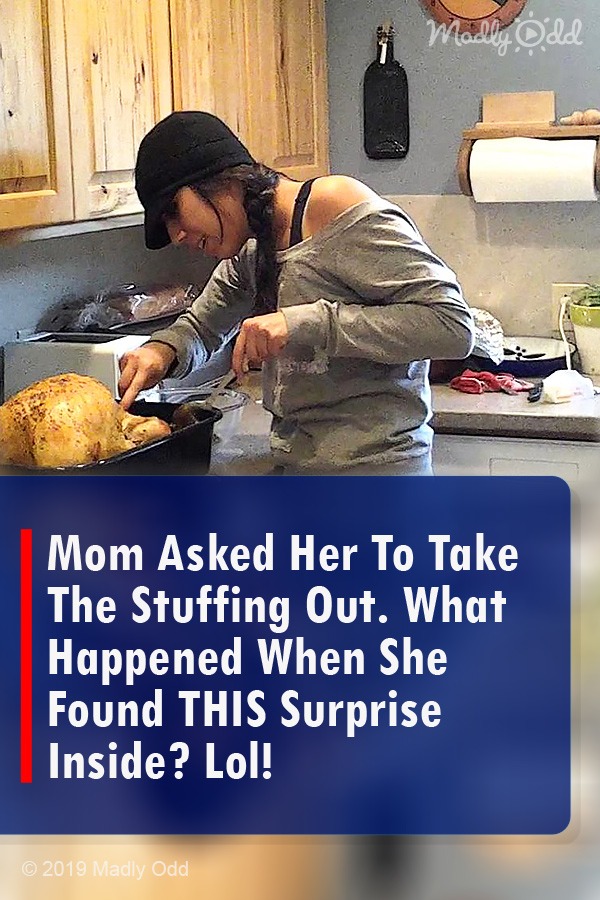 Mom Asked Her To Take The Stuffing Out. What Happened When She Found THIS Surprise Inside? Lol!