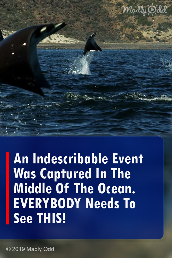 An Indescribable Event Was Captured In The Middle Of The Ocean. EVERYBODY Needs To See THIS!