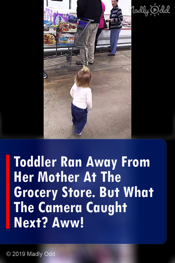 Toddler Ran Away From Her Mother At The Grocery Store. But What The Camera Caught Next? Aww!