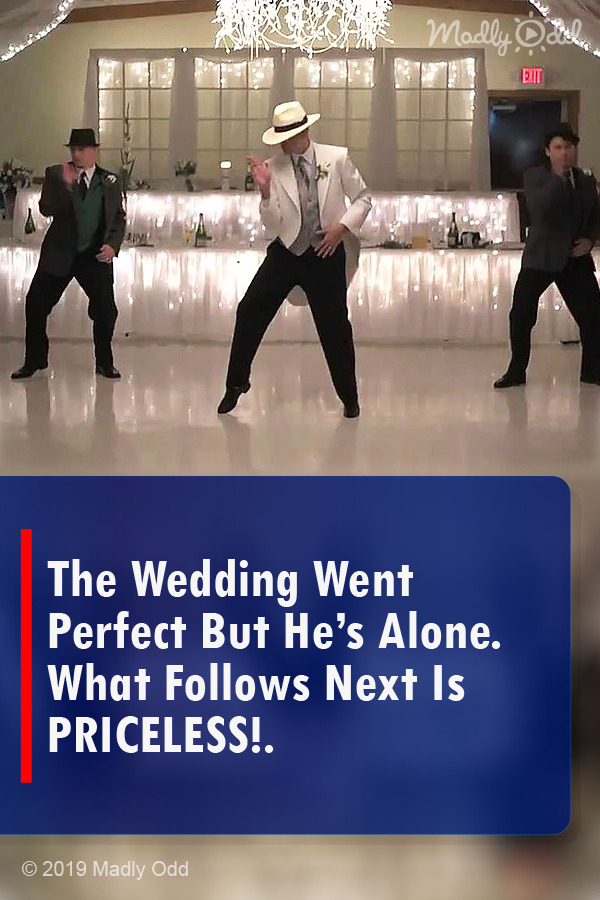 The Wedding Went Perfect But He’s Alone. What Follows Next Is PRICELESS!.