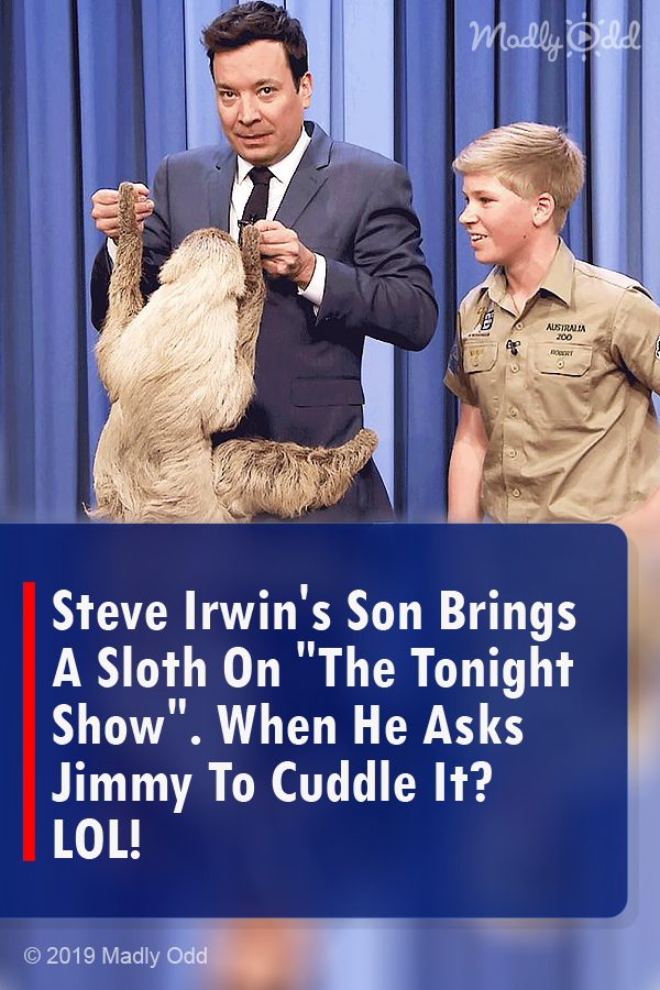 Steve Irwin\'s Son Brings A Sloth On \