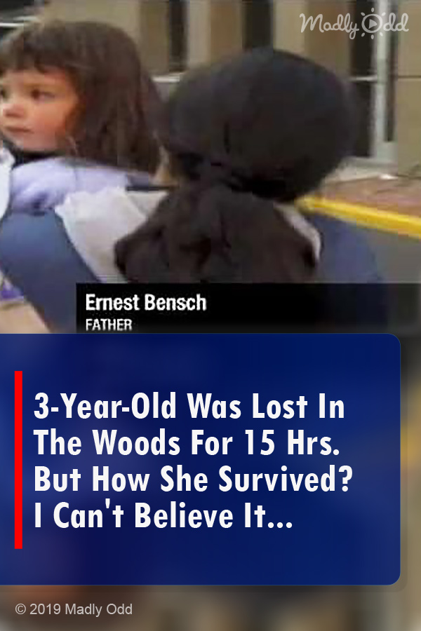 3-Year-Old Was Lost In The Woods For 15 Hrs. But How She Survived? I Can\'t Believe It...
