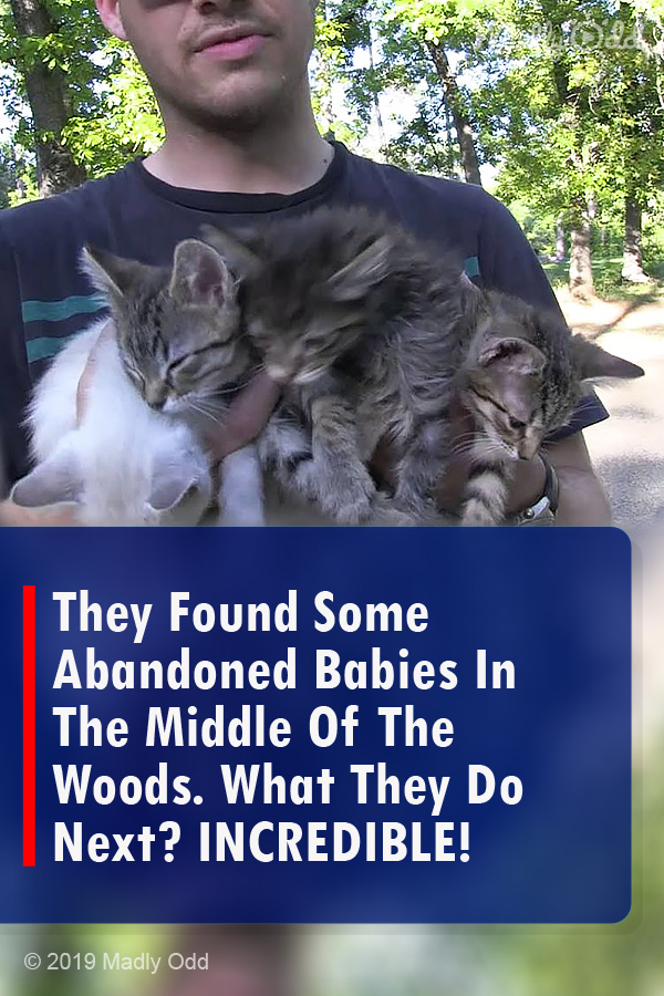 They Found Some Abandoned Babies In The Middle Of The Woods. What They Do Next? INCREDIBLE!