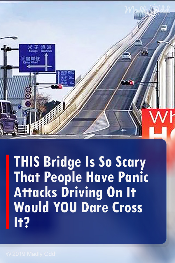 THIS Bridge Is So Scary That People Have Panic Attacks Driving On It Would YOU Dare Cross It?
