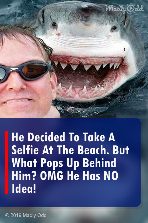 He Decided To Take A Selfie At The Beach. But What Pops Up Behind Him? OMG He Has NO Idea!