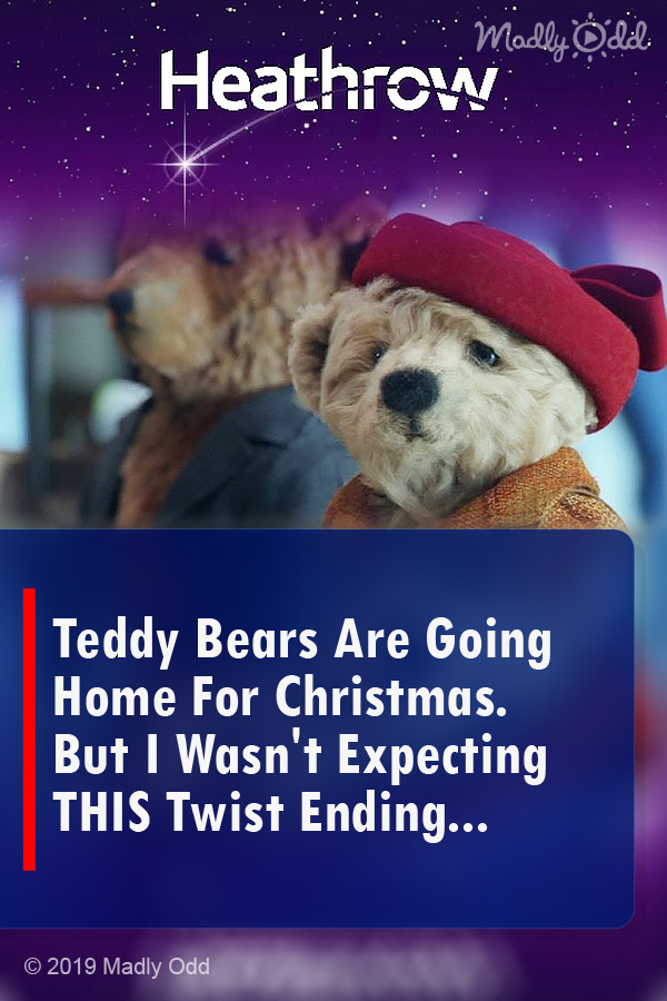 Teddy Bears Are Going Home For Christmas. But I Wasn\'t Expecting THIS Twist Ending...