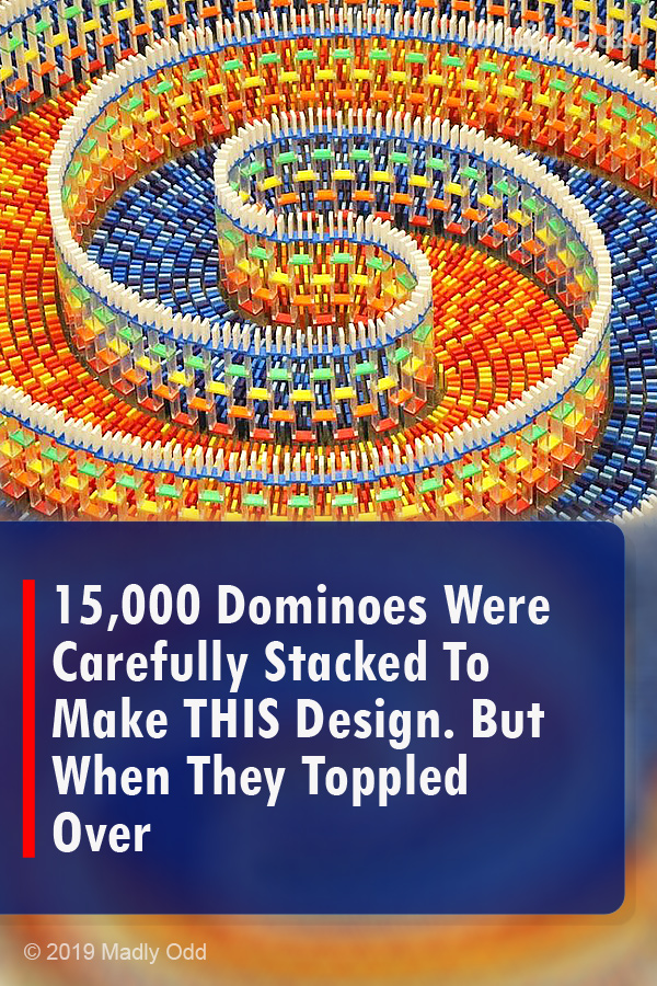 15,000 Dominoes Were Carefully Stacked To Make THIS Design. But When They Toppled Over