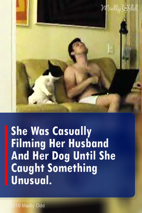 She Was Casually Filming Her Husband And Her Dog Until She Caught Something Unusual.