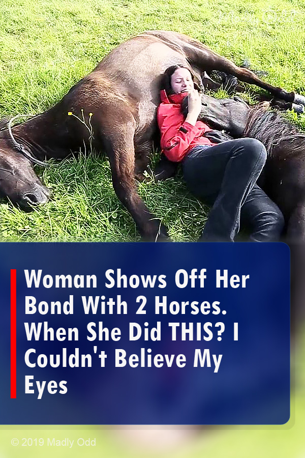 Woman Shows Off Her Bond With 2 Horses. When She Did THIS? I Couldn\'t Believe My Eyes