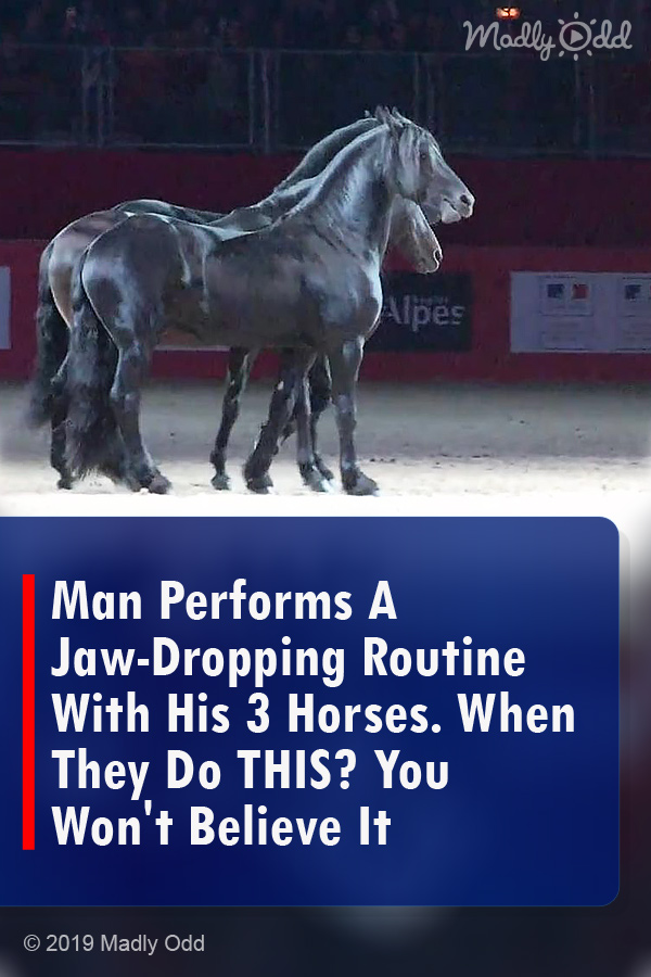 Man Performs A Jaw-Dropping Routine With His 3 Horses. When They Do THIS? You Won\'t Believe It