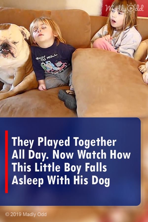 They Played Together All Day. Now Watch How This Little Boy Falls Asleep With His Dog