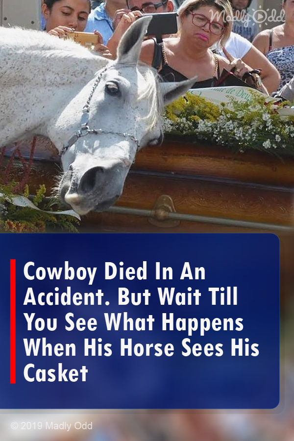 Cowboy Died In An Accident. But Wait Till You See What Happens When His Horse Sees His Casket