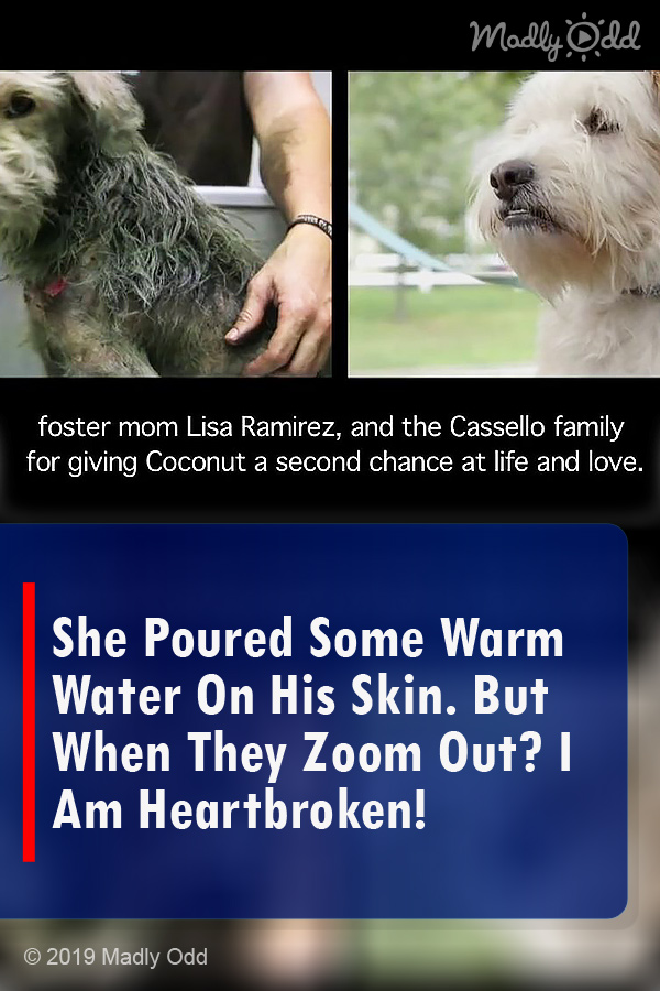 She Poured Some Warm Water On His Skin. But When They Zoom Out? I Am Heartbroken!