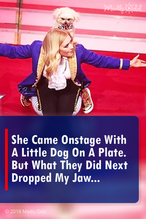 She Came Onstage With A Little Dog On A Plate. But What They Did Next Dropped My Jaw...