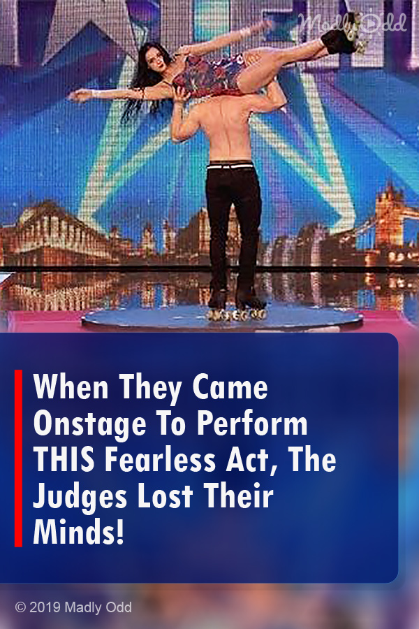 When They Came Onstage To Perform THIS Fearless Act, The Judges Lost Their Minds!