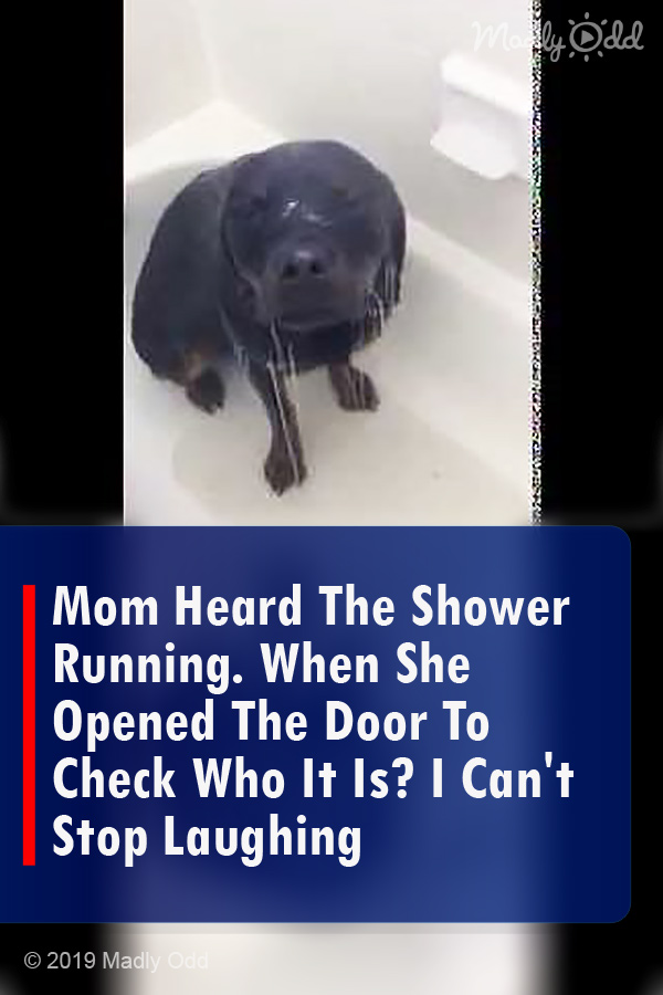 Mom Heard The Shower Running. When She Opened The Door To Check Who It Is? I Can\'t Stop Laughing