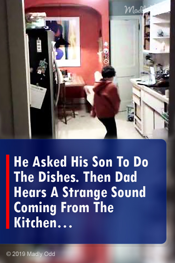 He Asked His Son To Do The Dishes. Then Dad Hears A Strange Sound Coming From The Kitchen…